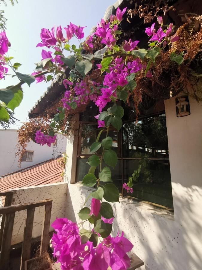 Dear B&B Tainan Extérieur photo